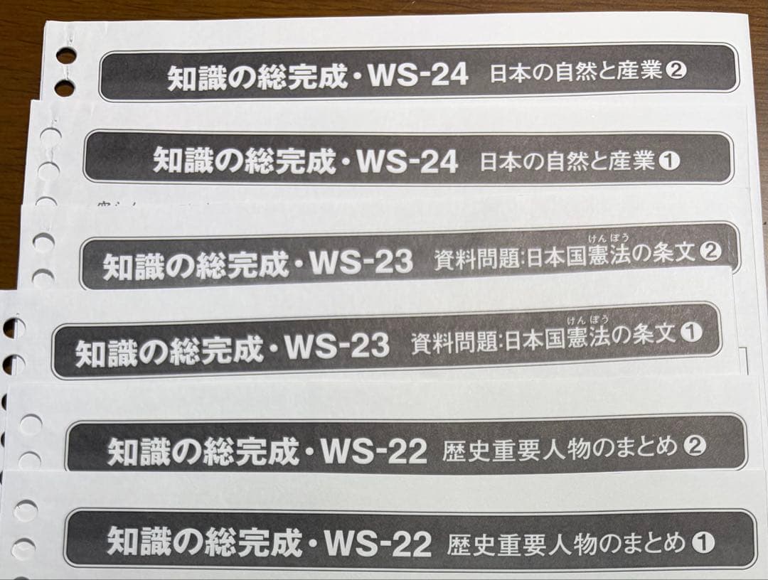 【美品】SAPIX　６年　土特　社会　知識の総完成WS-01〜WS-36